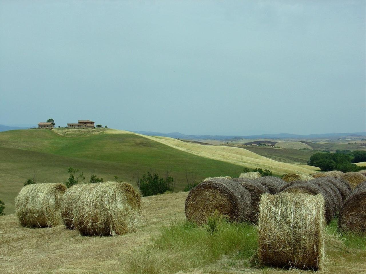 Tenuta Di Corsano 몬테로니다르비아 외부 사진