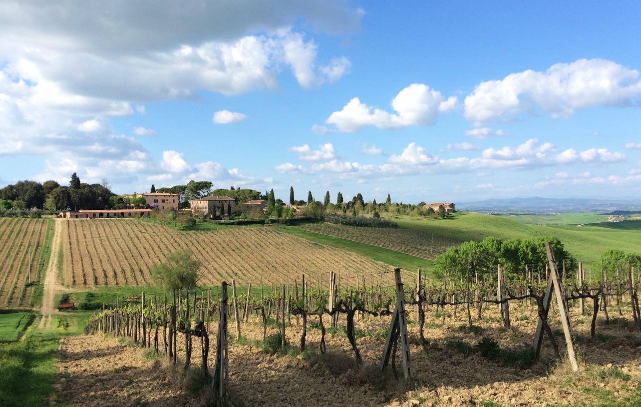 Tenuta Di Corsano 몬테로니다르비아 외부 사진